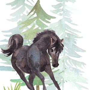 Wild Spirit