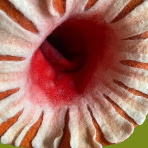 May include: Close-up of a felted flower with a vibrant color palette. The center is a deep red, transitioning to a lighter red and then to white petals with orange stripes. The felted texture adds depth.