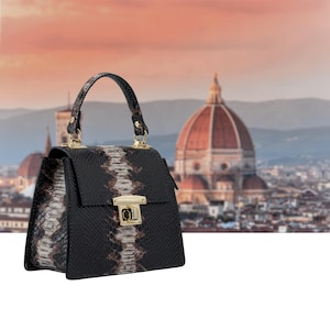 May include: A black and brown snakeskin-effect handbag with gold-coloured clasp and handle fittings. The bag has a structured shape and a top handle. The background shows a blurred cityscape with a large domed building.