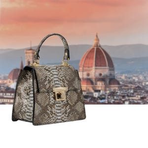 May include: A structured handbag with a snakeskin pattern in shades of grey and brown. The bag features a top handle, gold-toned hardware, and a secure clasp closure. The background shows a cityscape with a large dome.