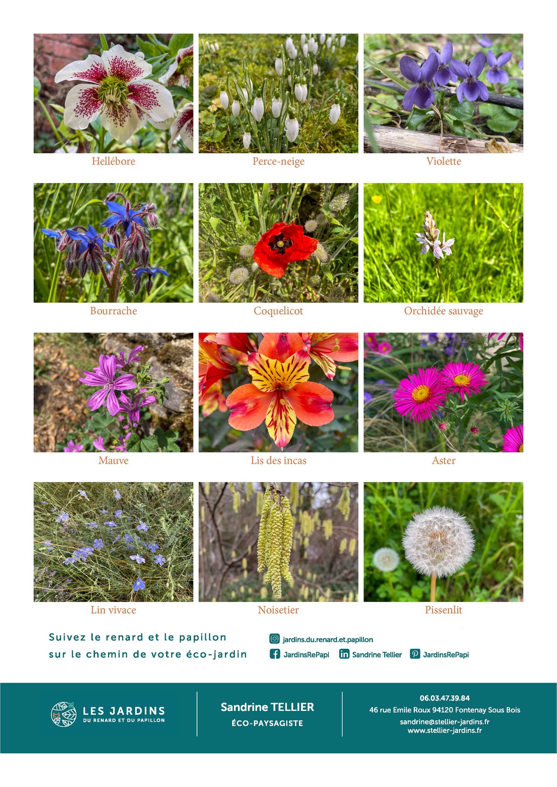 Flowers 2024 Calendar to Print A4 Portrait Format Etsy Canada
