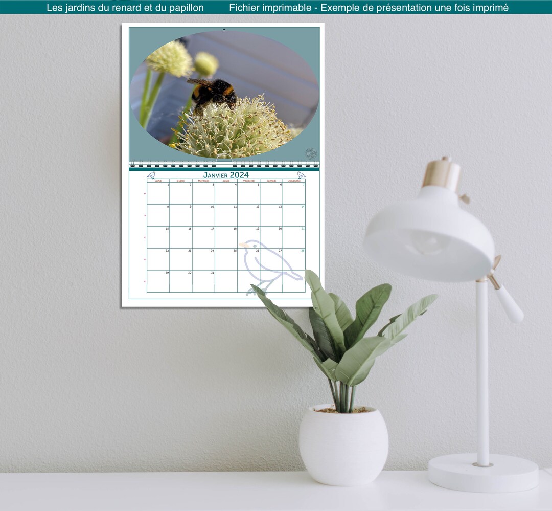 Insects 2024 Calendar to Print double A4 Landscape Format Etsy