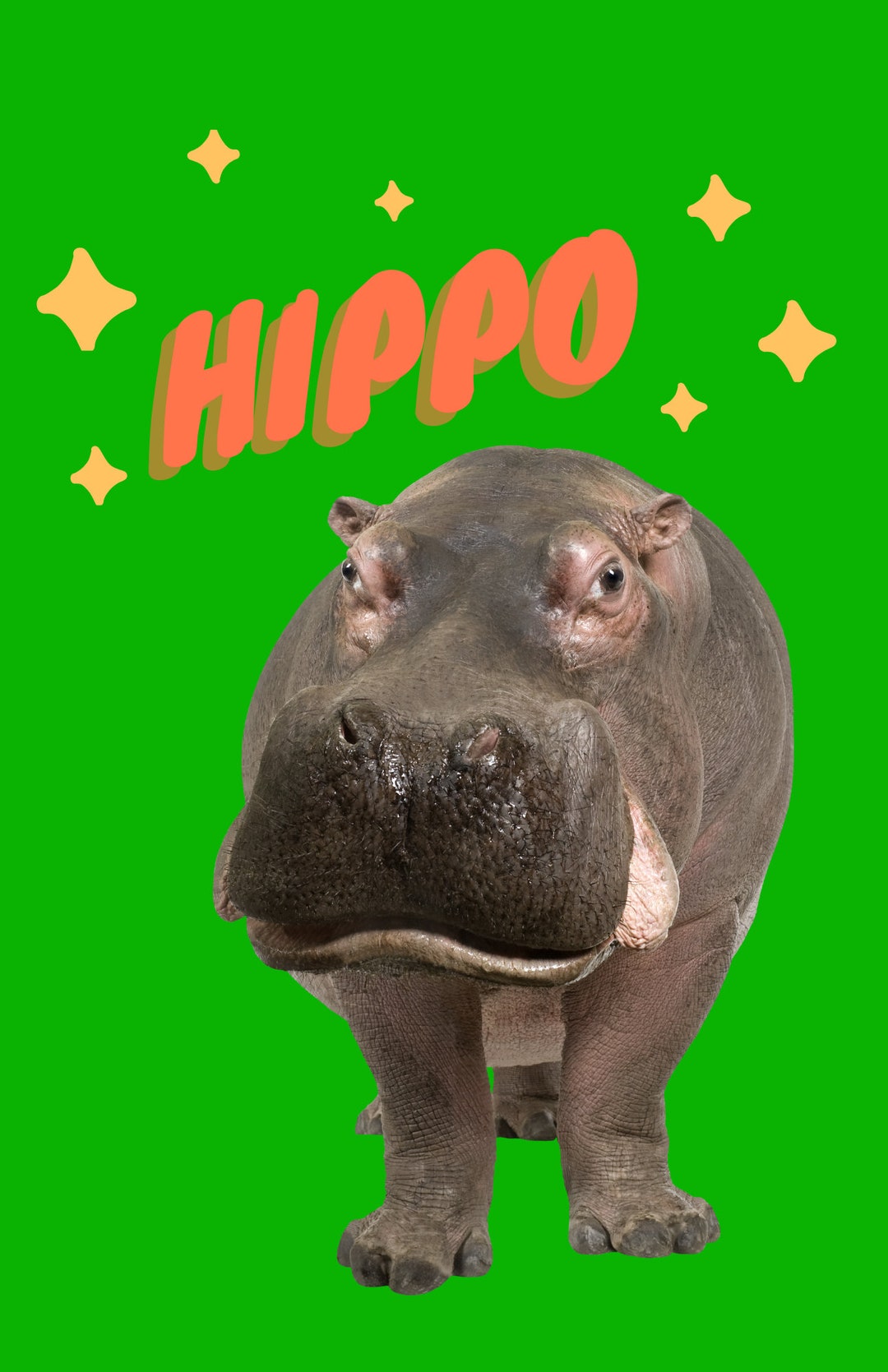 Rainbow Safari hippo Poster - Etsy