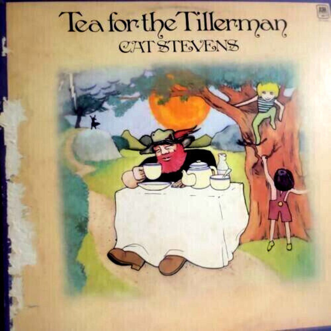 Cat Stevens Tea for the Tillerman Vinyl LP Record Album 1st Etsy