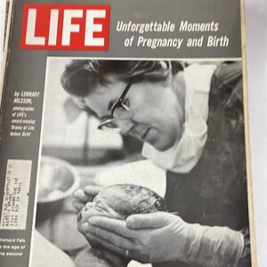 LIFE Magazine July 22 1966 Unforgettable Moments Of Pregnancy and Birth
