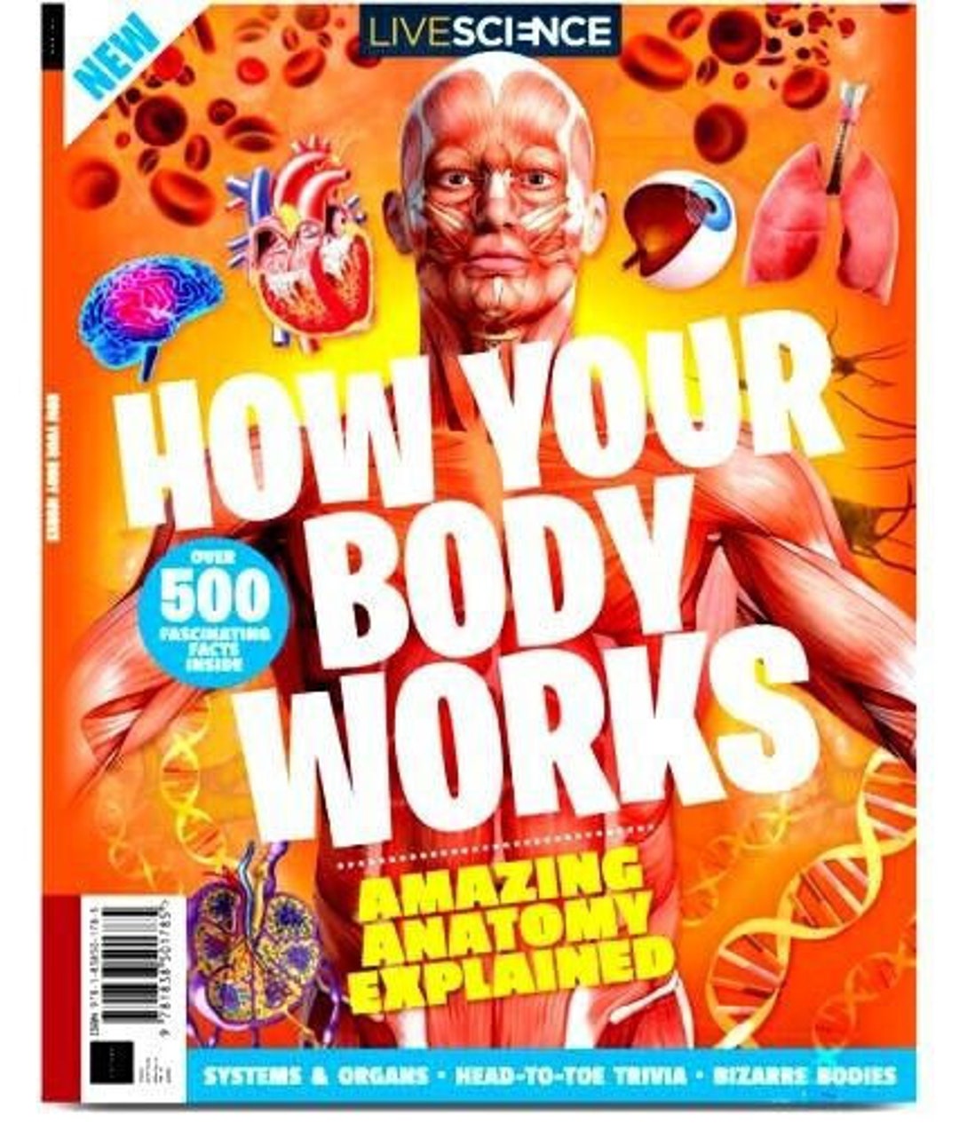 How Your Body Works Magazine Issue 01 2019 Amazing Anatomy