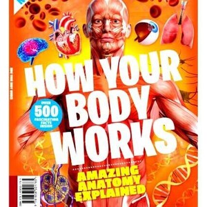 How Your Body Works Magazine Issue 01 2019 Amazing Anatomy Explained Livescienc