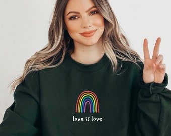 Love is Love Sudadera, Ally, Pride Shirt, LGBTQ Shirt, LGBT, Be Yourself, Human Rights Shirt, Igualdad, Política Libertad Religión