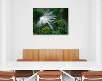 Great Heron Display Original Photography, Coastal Décor, Wildlife Bird Photography, Fine Art Print, Beach House Art