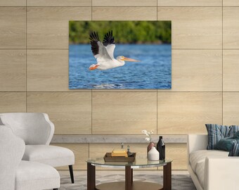 Pelican Take-Off Original Photography, Wildlife Bird Photography, Fine Art Print, Nature Photography, Beach House Wall Art