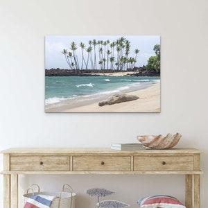 Monk Seal Beach Bum II Original Photography, Unique Housewarming Gift, Nature Inspired Decor, Palm Trees Coastal Wall Art