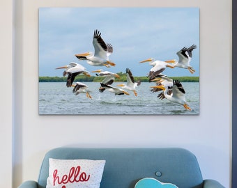 Pelican Frenzy, Coastal Décor, Wildlife Bird Photography, Fine Art Print, Florida Nature Photography, Tropical Wall Art