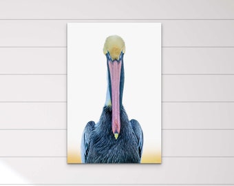 Pelican Photography Wall Art: Living Room Decor Art, Nature Lover Gift