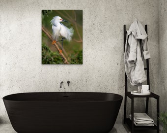 Snowy Egret Photography Wall Art: Wildlife Wall Decor, Housewarming Gift