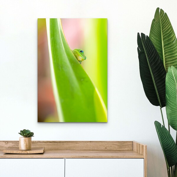 Gecko Peeking II Original Photography, Housewarming Gift, Nature Inspired Decor, Rolled or Stretched Canvas, Metal Print