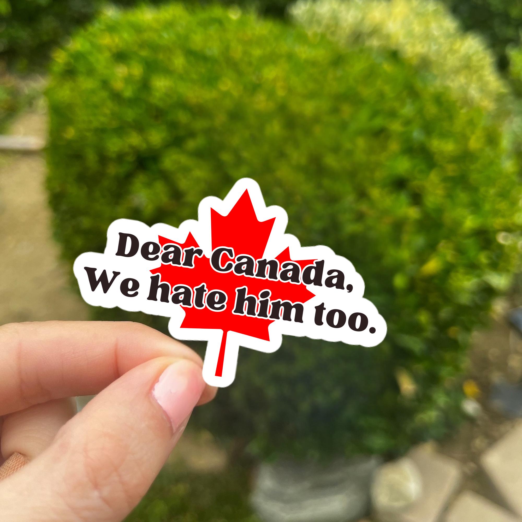 100 pcs Dear Canada we hate him too Sticker Bundle - Anti Trump Sticker