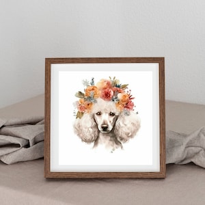 May include: A white poodle wearing a floral crown made of orange, pink and yellow flowers. The dog is looking directly at the viewer. The image is in a brown frame.
