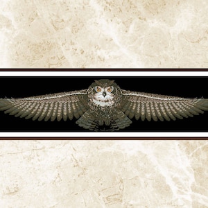 May include: A framed print of a detailed owl in flight, wings fully extended. The owl has brown and white feathers, with orange eyes, set against a black background. The frame is dark brown, and the background is a light beige marble.