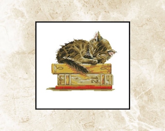 May include: A brown tabby kitten sleeps curled up on a stack of three vintage books with yellow and red covers.