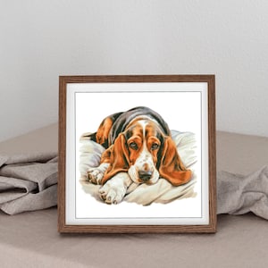 May include: A framed illustration of a brown and white basset hound dog lying on a white pillow. The dog has long ears and a sad expression.