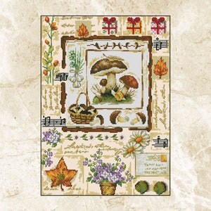 Sampler Cross Stitch Pattern,Mushroom Sampler,xstitch,Pattern Keeper,Embroidery,Pdf,Instant Download