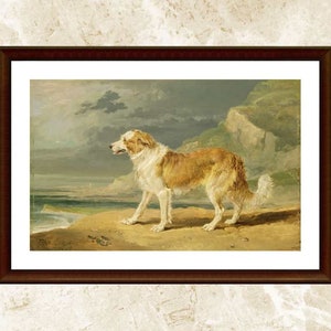 Patrón de punto de cruz para perro, Collie de pelo áspero, Guardián de patrones, Costura, Animal xstitch, PDF, Descarga instantánea