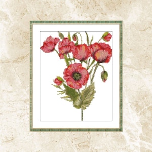 Aquarel kruissteekpatroon, klaproosboeket, wilde bloemen, patroonhouder, borduurwerk, XStitch, pdf, onmiddellijke download