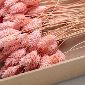 Dried Phalaris pink color, Dried Flowers, Preserved Flowers, pink Flowers, Home Decor, Dried Flowers, Wedding Decor, Boho, Boho Wedding