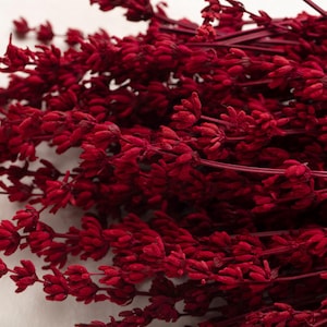 Preserved Lavender, red color, wedding flowers, home decor, Lavanda, lavander, dried flowers, preserved lavandin, Lavandula Getrocknet,