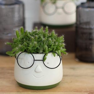Puede incluir: Una maceta de cerámica blanca con diseño de cara, con gafas de montura de alambre negro y base verde, llena de una planta verde. La maceta tiene una cara sonriente y está sobre una superficie de madera.