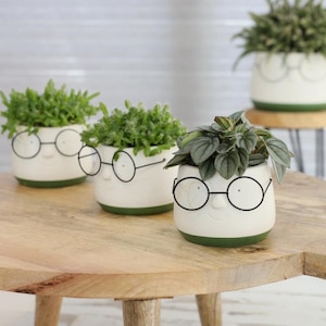 Può includere: Una collezione di vasi in ceramica bianca con un design stravagante. Ogni vaso presenta un volto con occhiali rotondi neri e una base verde, riempito con varie piante verdi. I vasi sono disposti su un tavolo di legno chiaro.