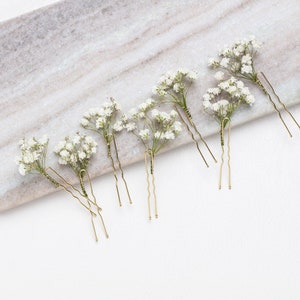 Baby breath, white preserved gypsophila, 1 box mini stems, natural baby's breath, baby breath, baby breath, dry wedding Bouquet image 9