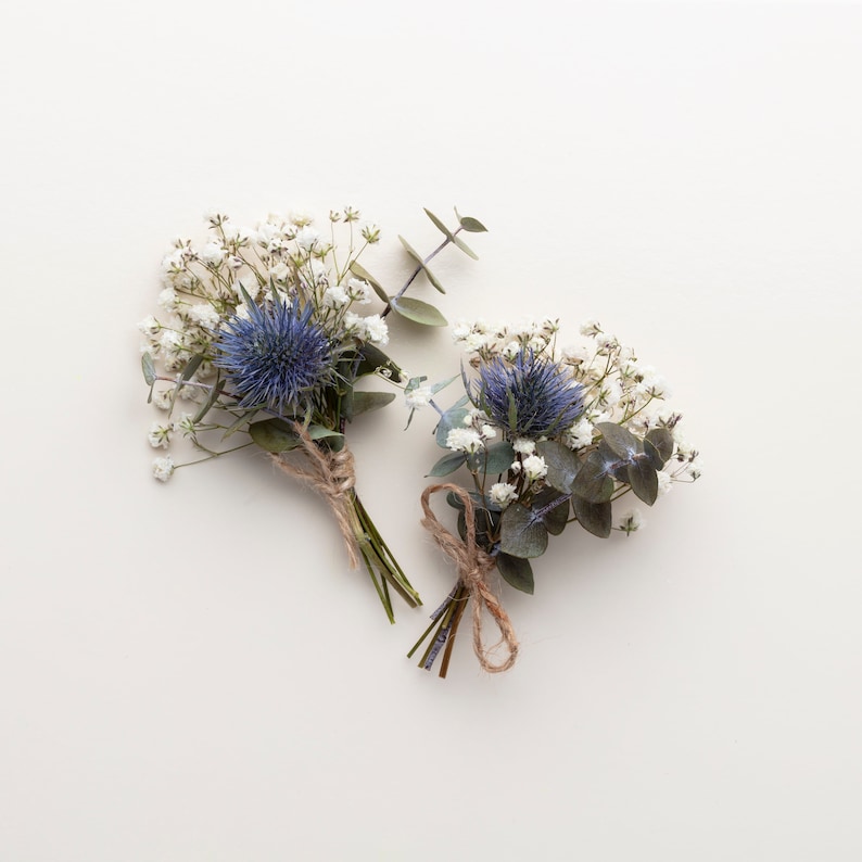 Dried Eryngium, Natural Blue Thistle, Dried Thistle, Natural Dried Thistle, Dried Flowers, Dried Deep Sea Blue Thistle Sea Holly image 6