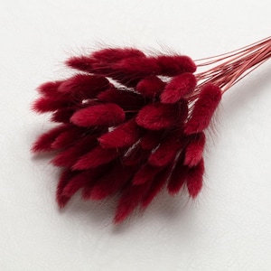 Bunny Tails, burgund color, Dried Lagurus, Dried Grass, Rabbit Tails, Decor, Bouquet, Natural Fluff, Gift, Home Decor, Dried Flowers, Boho