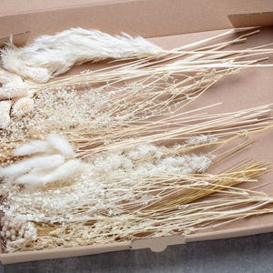 Flores secas DIY, conjunto DIY, cores boho para casamento, buquê de flores secas, conjunto de capim-dos-pampas, lagurus, phalaris, hálito de bebê, flor de vassoura, fúcsia