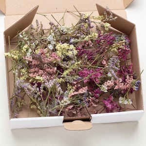 Flores secas DIY para resina, mistura de flores DIY, joias DIY, fabricação de cartões, arranjos florais, flores secas, caspia, statice, limonium