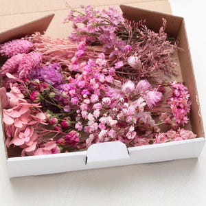 Set di fiori secchi rosa, mix di artigianato fai da te, decorazioni per matrimoni