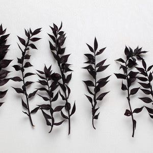 Preserved ruscus, dark brown Ruscus | Preserved Stems | Boho Wedding Decor| 15 mini Stems | Bleached | Dry Flower Bouquet