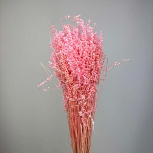 Peut inclure: Un bouquet de fleurs séchées rose clair avec de petites fleurs en grappes sur des tiges fines et rigides. L'arrangement présente une structure dense et verticale avec de délicats brins ramifiés s'étendant depuis la masse florale centrale.