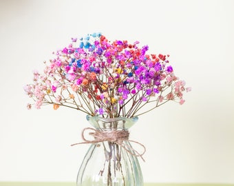 Preserved Rainbow Gypsophila with vase, Baby breath, colored gypsophila, real stems, natural baby's breath,  baby breath, wedding bouquet.