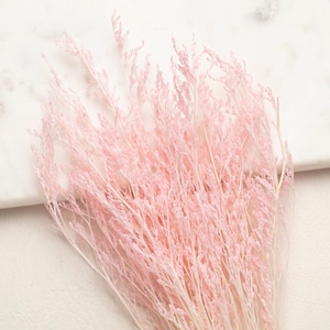 Peut inclure: Un bouquet d'herbe ornementale séchée rose pâle. Les tiges plumeuses sont disposées sur une planche à découper en marbre blanc. L'herbe a une texture délicate et aérée, et l'esthétique générale est douce et naturelle.
