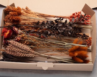 Mezcla de flores secas de terracota, flores preservadas de color naranja óxido, caja floral para manualidades, decoración para bodas de otoño y estilo bohemio.