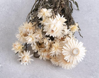 Straw flower, Helichrysum bouquet, dry Straw Helichrysum flower for decoration, dried strawflower, fragrances flower, flower centerpieces