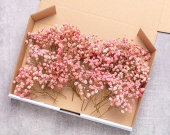 Schleierkraut, konserviertes Schleierkraut in Boho-Rosa, 1 Box Mini-Stiele, natürlicher Schleierkraut, Schleierkraut, Schleierkraut, trockener Hochzeitsstrauß