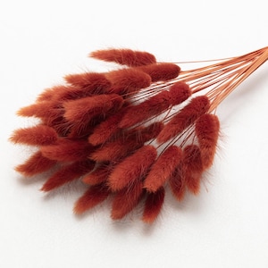 Bunny Tails, autumn color, Dried Lagurus, Dried Grass, Rabbit Tails, Decor, Bouquet, Natural Fluff, Gift, Home Decor, Dried Flowers, Boho