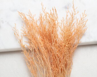 Könnte beinhalten: Nahaufnahme von getrocknetem, hellorangefarbenem Ziergras. Das federartige Gras ist in einem Bündel angeordnet, mit einer weißen Marmoroberfläche im Hintergrund. Das Gras hat ein zartes, strukturiertes Aussehen.