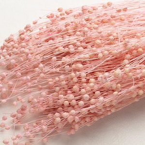 Dried  Linum, pink color, Linum bunch, Dried flax bunch, Natural dried flowers, Dried florals, Flower arrangement, Home decor