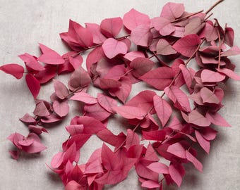 Preserved eucalyptus, autumn magenta color, eucalyptus bunch, Stems, wedding flowers, home decor, Baby Eucalyptus