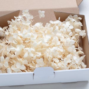 Könnte beinhalten: Eine weiße Box gefüllt mit getrockneten weißen Hortensienblüten. Die Blüten sind zart und haben einen natürlichen, rustikalen Look.