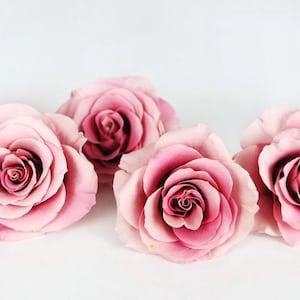 Peut inclure: Six magnifiques roses roses, en pleine floraison, sur fond blanc. Les pétales, aux nuances de rose variées, sont disposés en spirale. L'ensemble dégage une impression de douceur et de romantisme, idéal pour une décoration florale.